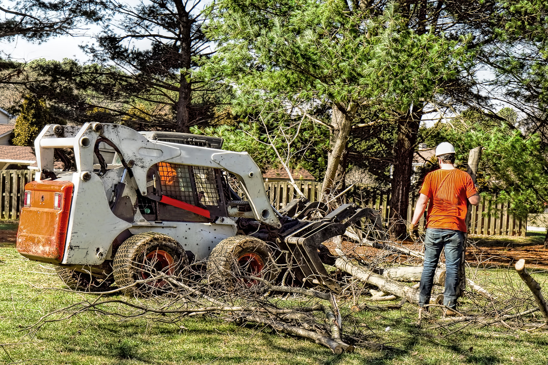 Owensboro, KY's expert tree removal in action – Trust our skilled team for efficient and professional tree service.